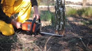 Lawn Grading and Leveling in Bethany, OR